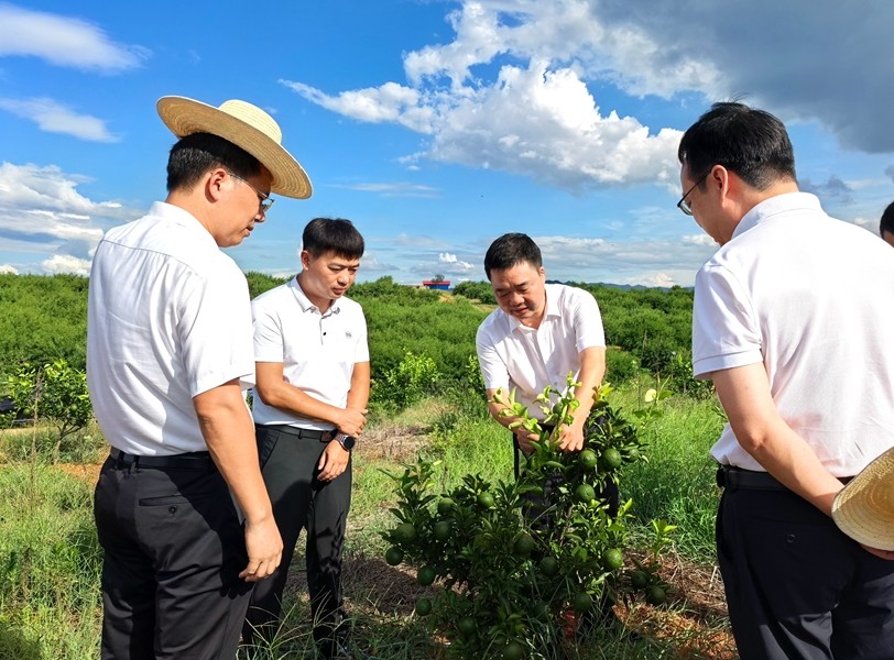 李鹏程调研巩固拓展脱贫攻坚成果同乡村振兴有效衔接工作
