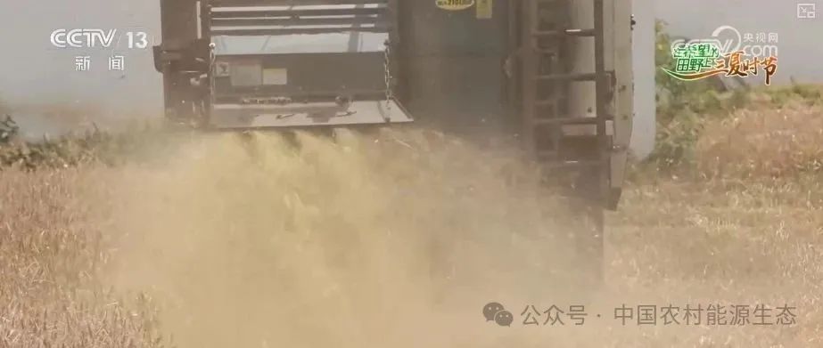 90秒解锁秸秆"点草成金，变废为宝" 科普"三夏"新知