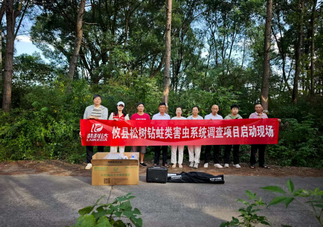 攸县全面铺开松树钻蛀类害虫专项调查，筑牢森林生态安全屏障