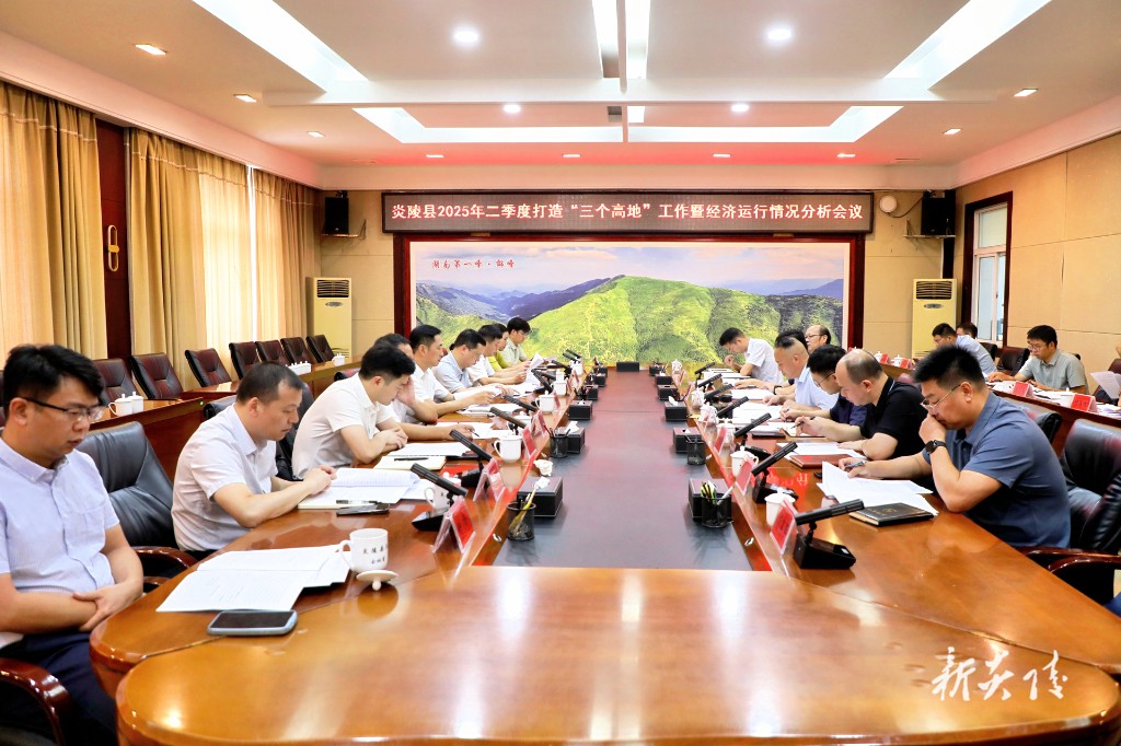 炎陵县2025年二季度打造“三个高地”工作暨经济运行情况分析会召开