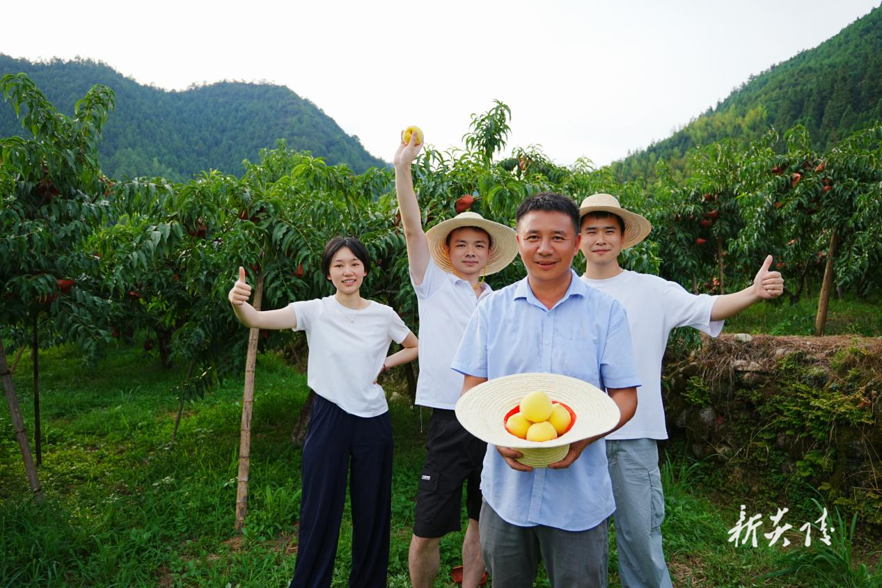 下村乡：“三力齐发”护航炎陵黄桃“甜蜜出山”