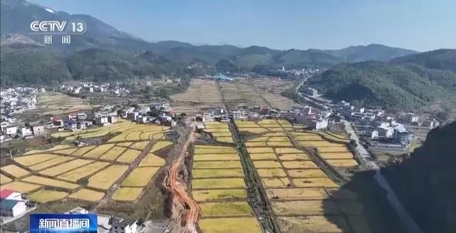 秸秆还田难在哪，回收还有哪些新思路？专家支招