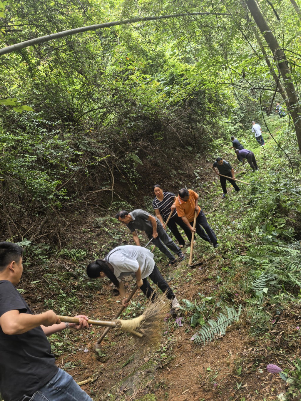 炎陵南岸村：从修路到护路 两代党员的初心接力