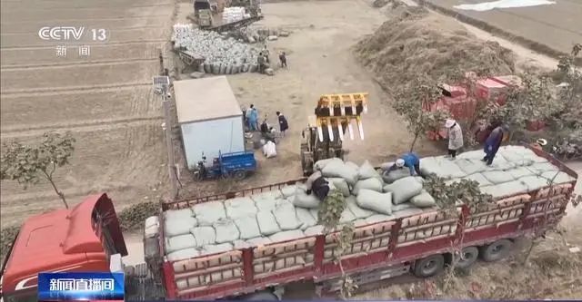 秸秆还田难在哪，回收还有哪些新思路？专家支招