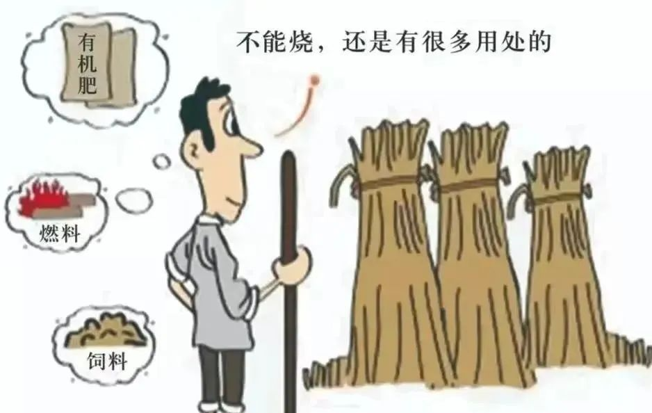 "秸"尽全力，筑牢禁烧"防火墙"