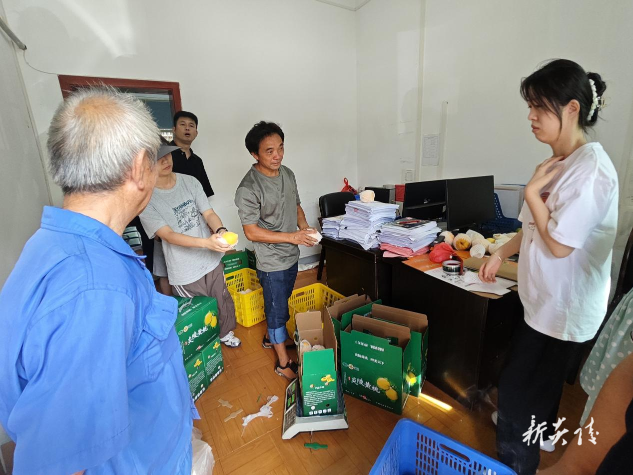 船形乡：以消费帮扶助力桃农增收