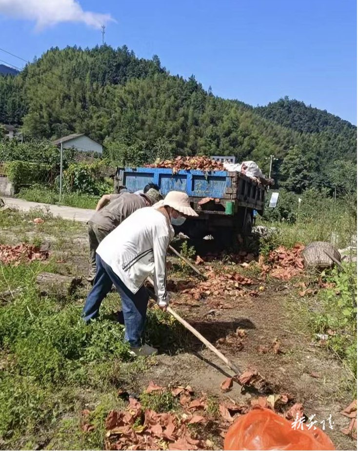 策源乡：黄桃季收官不“收尾” 洁净乡村守护不停歇