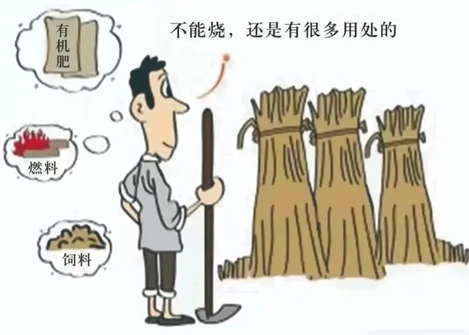 "秸"尽全力，筑牢禁烧"防火墙"