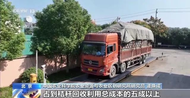 秸秆还田难在哪，回收还有哪些新思路？专家支招