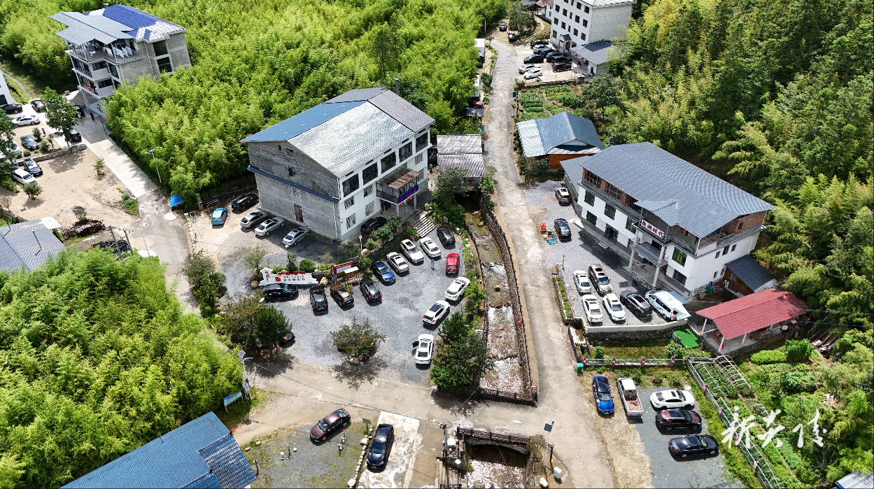 策源乡：梨树洲清凉山水引客来