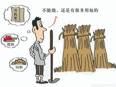 秸秆禁烧！这些知识要牢记~