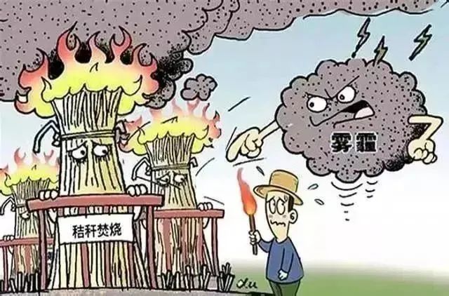 一把秸秆，一份责任，禁烧行动，人人有责！