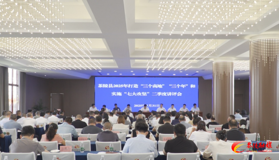 茶陵县2025年打造“三个高地”“三个年”和实施“七大攻坚”二季度讲评会召开