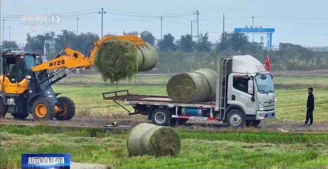 秸秆还田难在哪，回收还有哪些新思路？专家支招