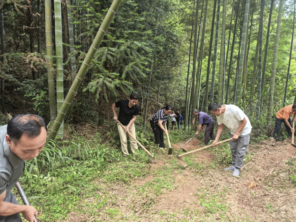 炎陵南岸村：从修路到护路 两代党员的初心接力