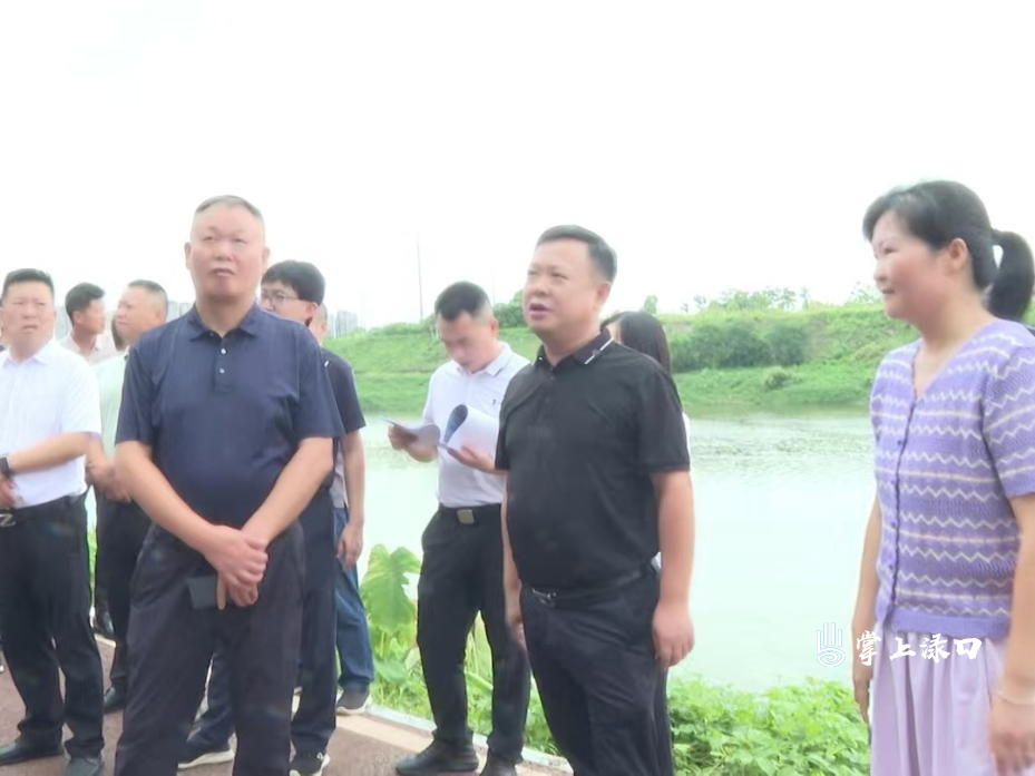 李晓彤带队调研渌口老街历史文化街区示范创建工作