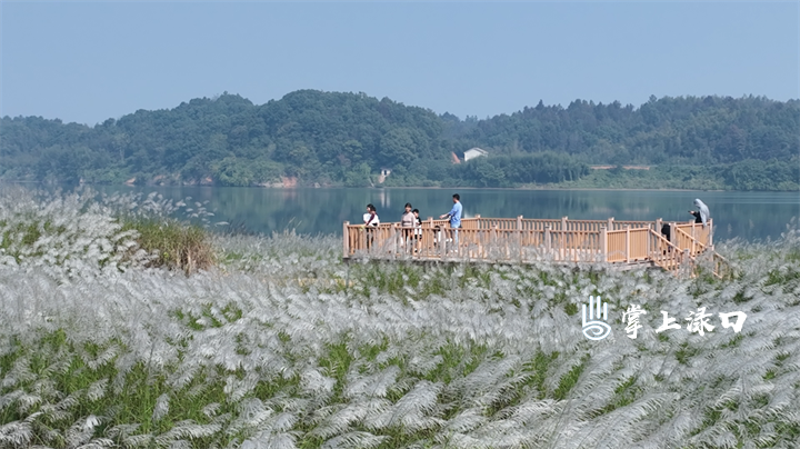 渌口区农文旅融出“新蓝图”
