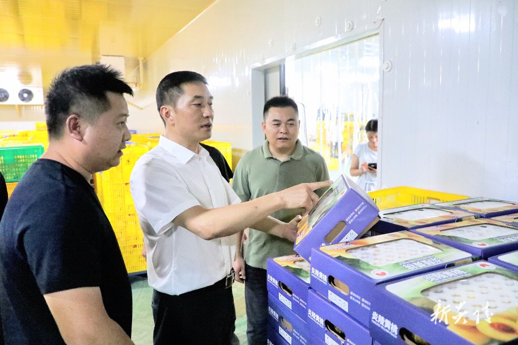尹朝晖调研炎陵黄桃销售工作