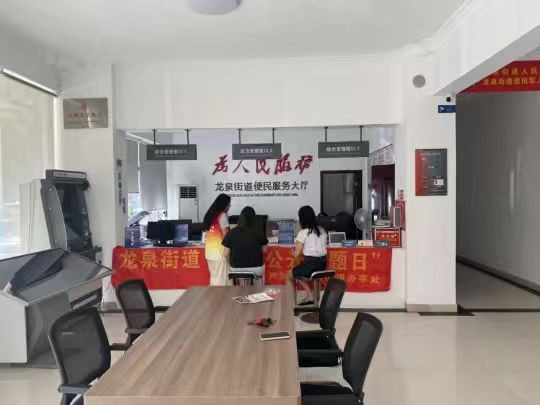 龙泉街道开展“政务公开日”活动