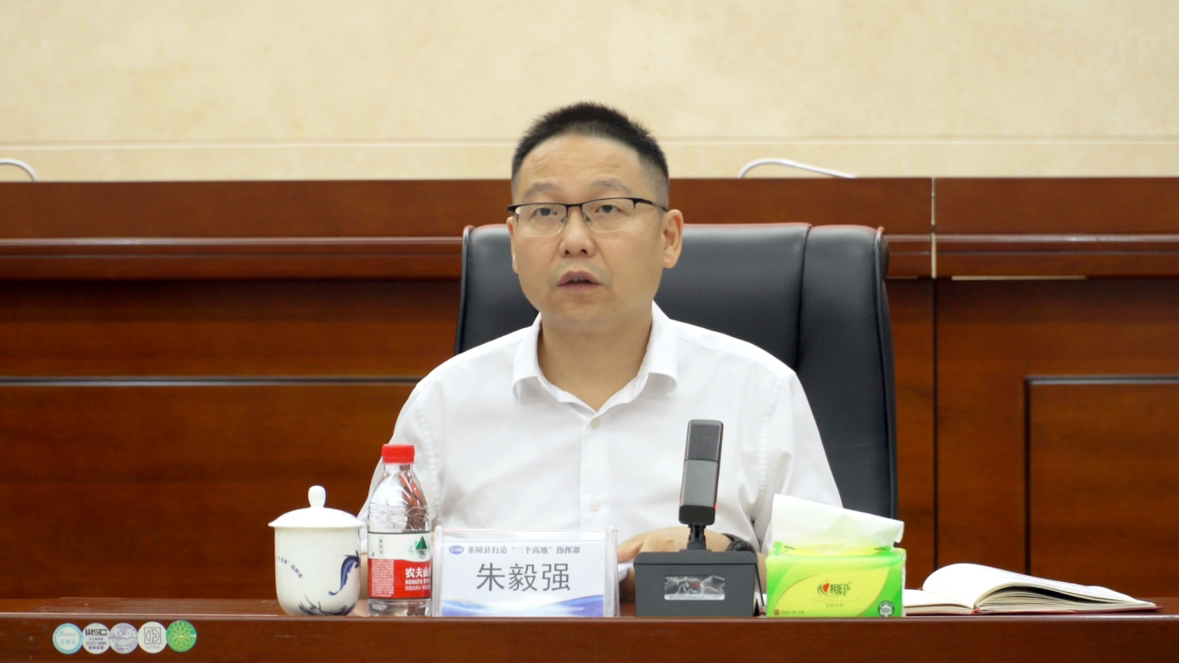 茶陵县2025年打造“三个高地”“三个年”和实施“七大攻坚”工作调度暨经济运行监测会召开