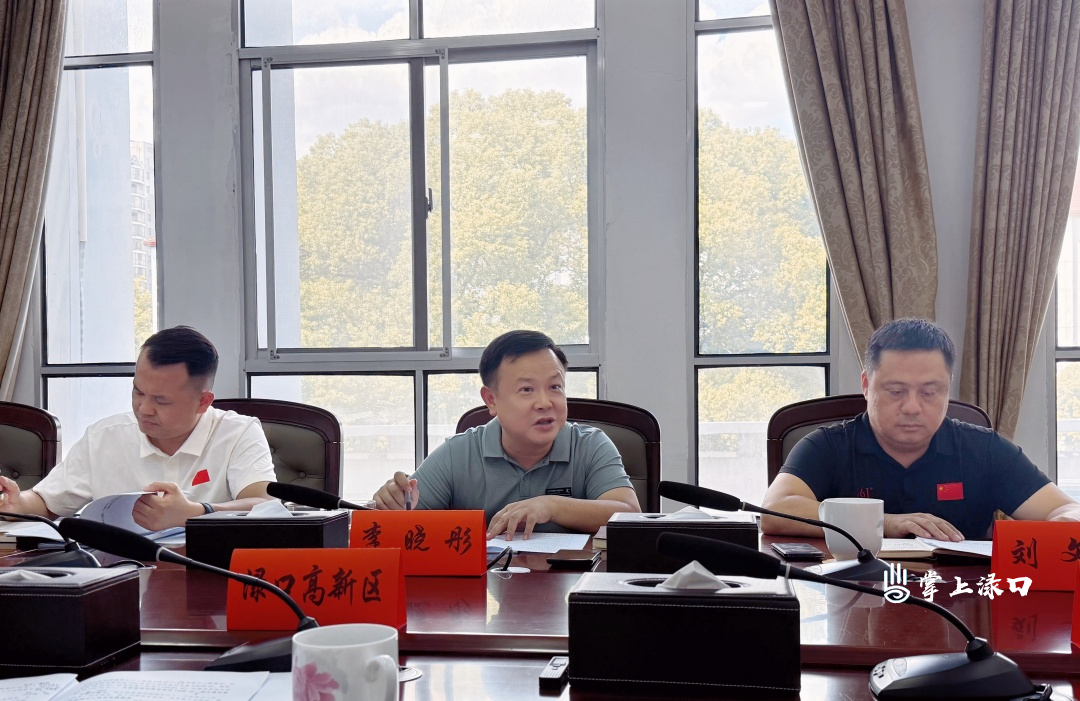李晓彤主持召开低空经济和无人机应用场景推进会