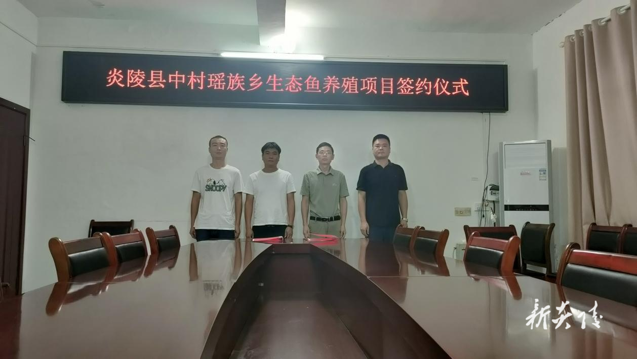 中村瑶族乡：打造产业新引擎 激活振兴新动能