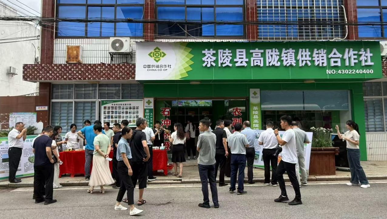 杨桦副市长在茶陵调研“三社合一”综合改革和“流动供销”工作