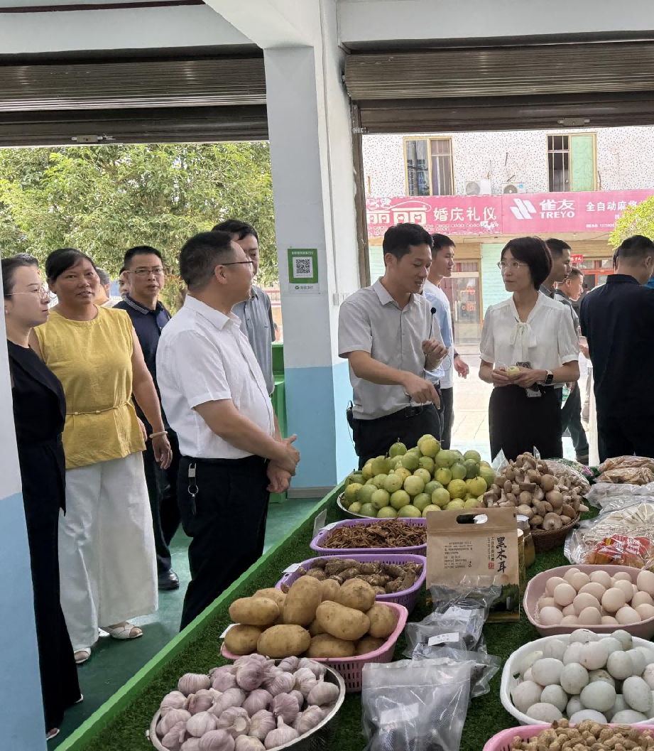 杨桦副市长在茶陵调研“三社合一”综合改革和“流动供销”工作