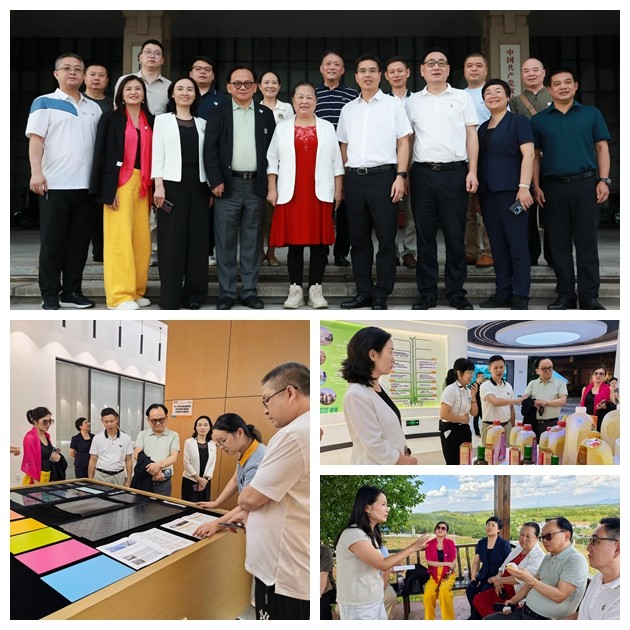 深圳市湖南商会考察团来攸考察交流