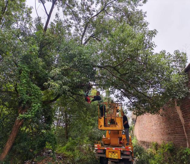 联星街道文化社区：携手共建美好家园 同心共治和谐社区