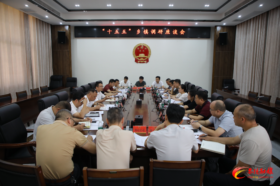 朱毅强主持召开“十五五”乡镇调研座谈会