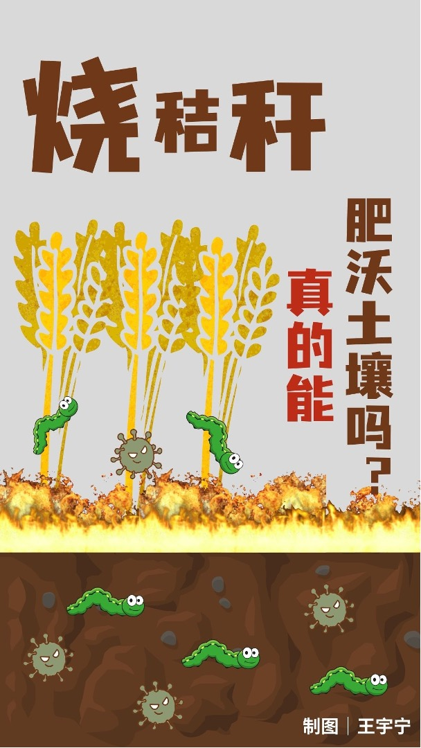 烧秸秆能除病虫害、增肥土壤，干嘛不让烧？