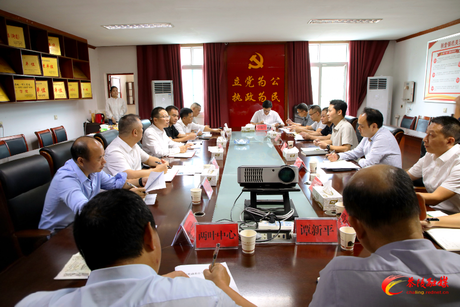 朱毅强到秩堂镇调研