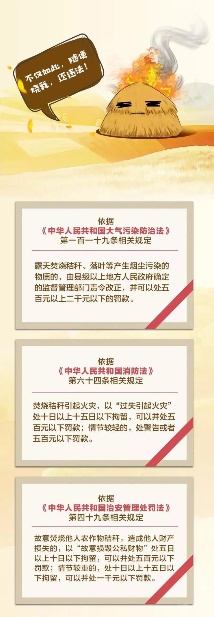 【一图读懂】秸秆焚烧危害有多大？