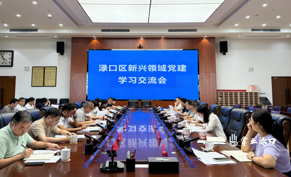 李晓彤主持召开新兴领域党建学习交流会