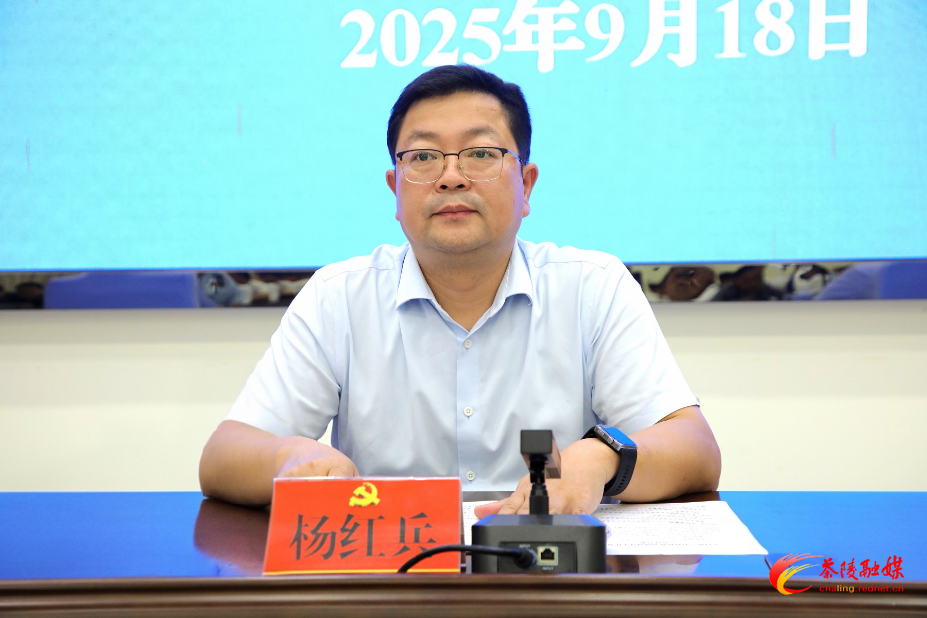茶陵县召开乡村振兴有效衔接省级督导工作复盘会