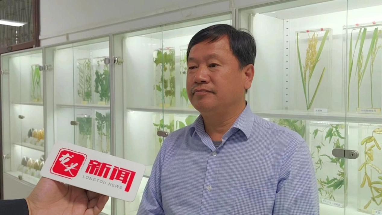 "‘秸’尽全‘利’护家园"