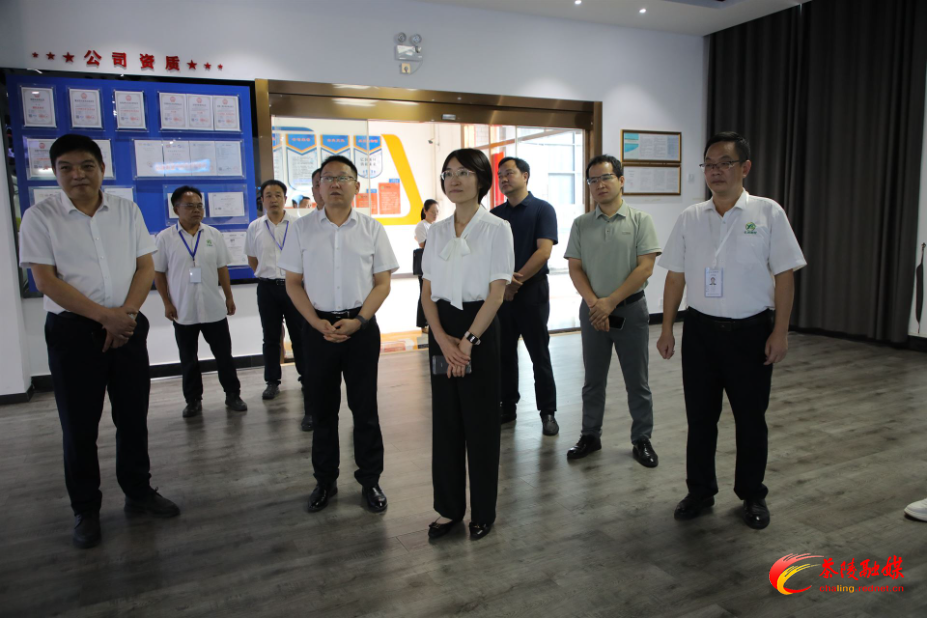 杨桦来茶调研企业上市工作