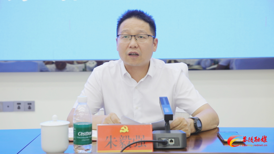 茶陵县召开乡村振兴有效衔接省级督导工作复盘会