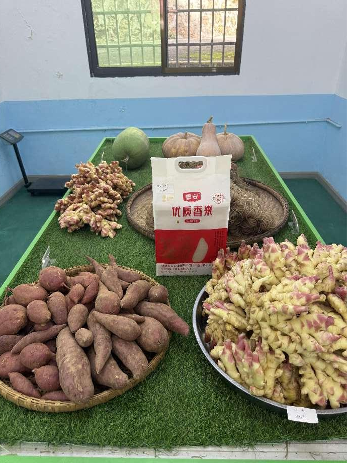 全市“流动供销”和“三社合一”工作现场会 在茶陵县召开，市委、市政府领导作出批示