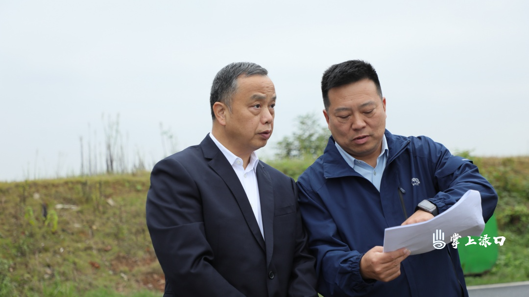 李全胜来渌口调研松西子汛旱并防项目 肯定成效并强调发展新型农文旅