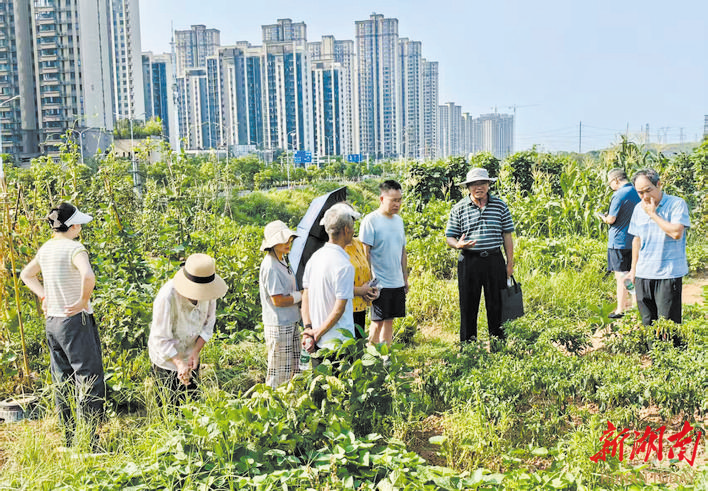 暖流，奔涌在乡村——天元区筑牢底线、深化改革惠农侧记