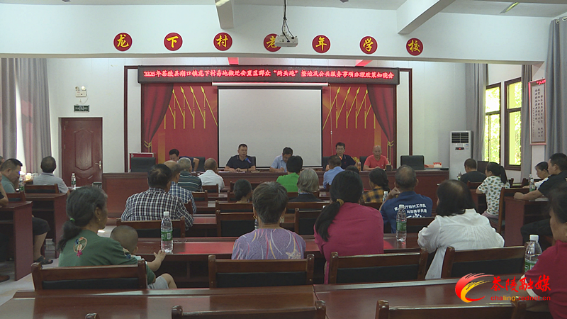 【魅力湖口】湖口镇龙下村易地搬迁安置区群众“两头跑”整治及公共服务事项办理政策知晓会召开