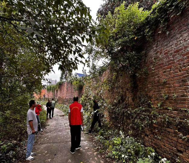 联星街道文化社区：携手共建美好家园 同心共治和谐社区