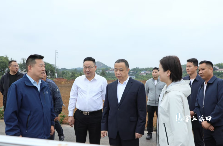 李全胜来渌口调研松西子汛旱并防项目 肯定成效并强调发展新型农文旅