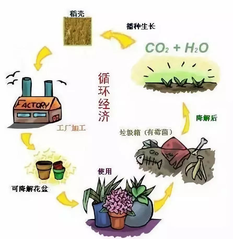 秸秆禁烧小常识