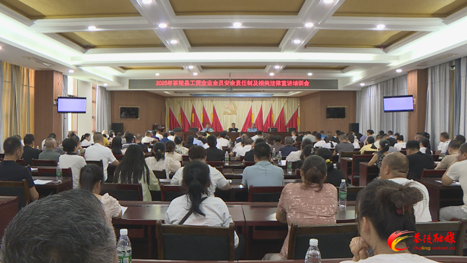 茶陵县开展工贸企业全员安全责任制及相关法律宣讲培训