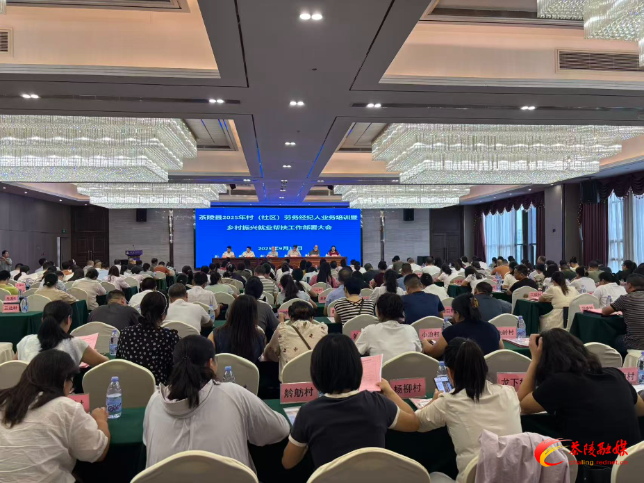 茶陵县2025年农村劳务经纪人业务培训暨乡村振兴就业帮扶工作部署会召开