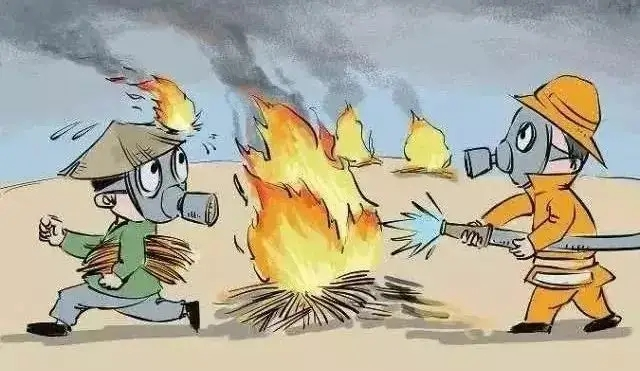 露天焚烧秸秆的危害你知道吗？