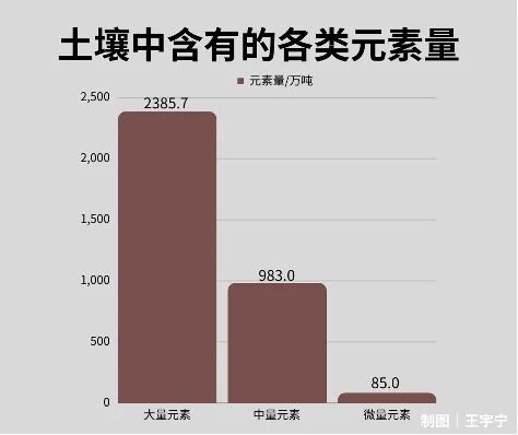 烧秸秆能除病虫害、增肥土壤，干嘛不让烧？